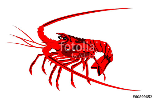 Crayfish Drawing at GetDrawings | Free download