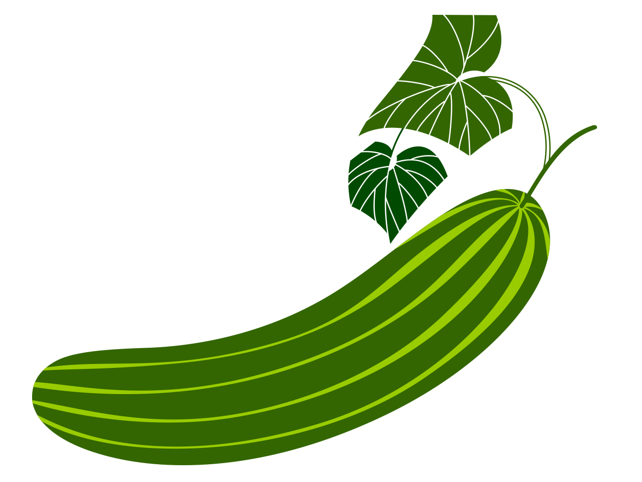 Cucumber Drawing At Getdrawings Free Download