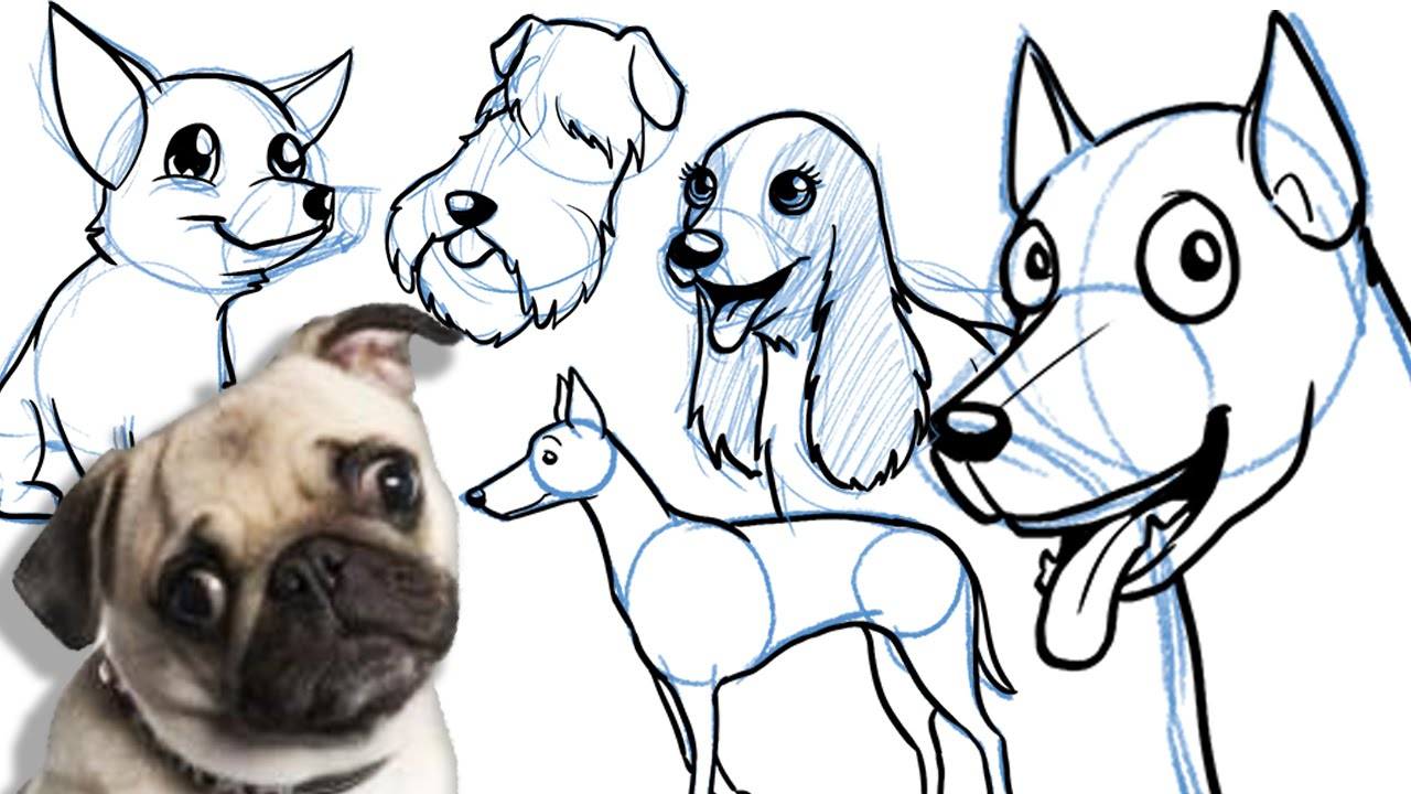 Drawing Dog Cartoon - Drawing Image