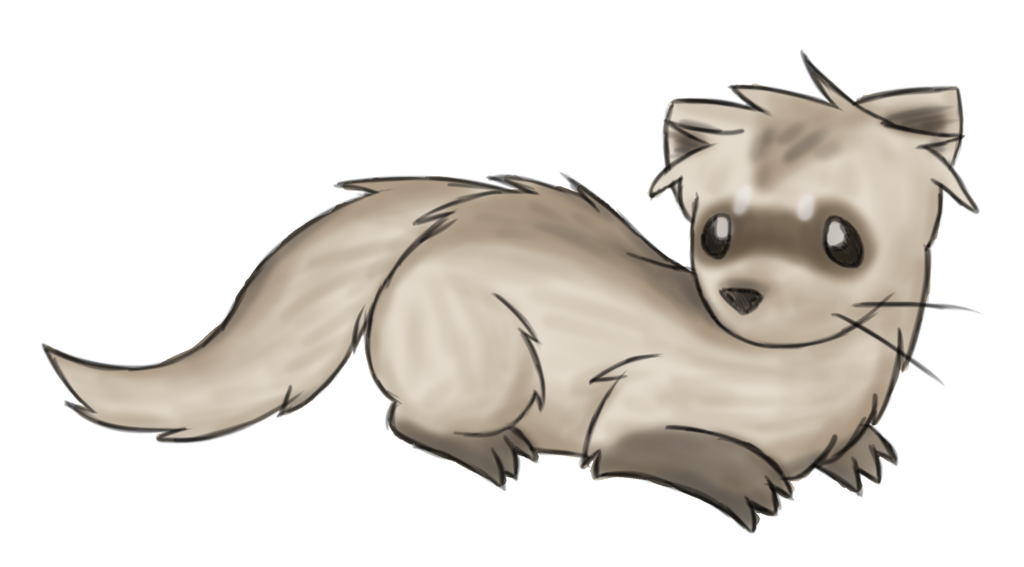 Cute Ferret Drawing