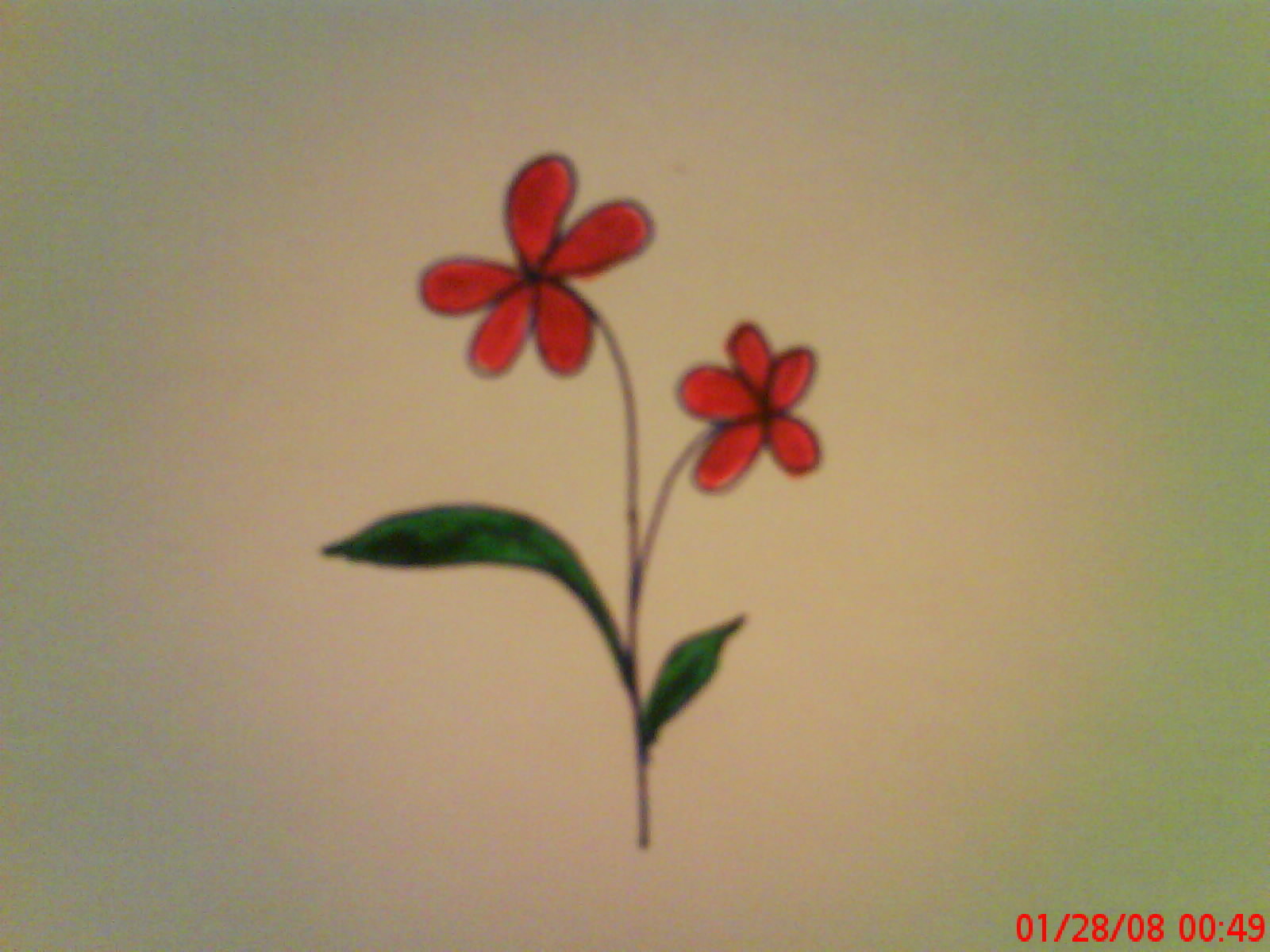 Flower Easy Cute Beautiful Drawings - Insularmiseria