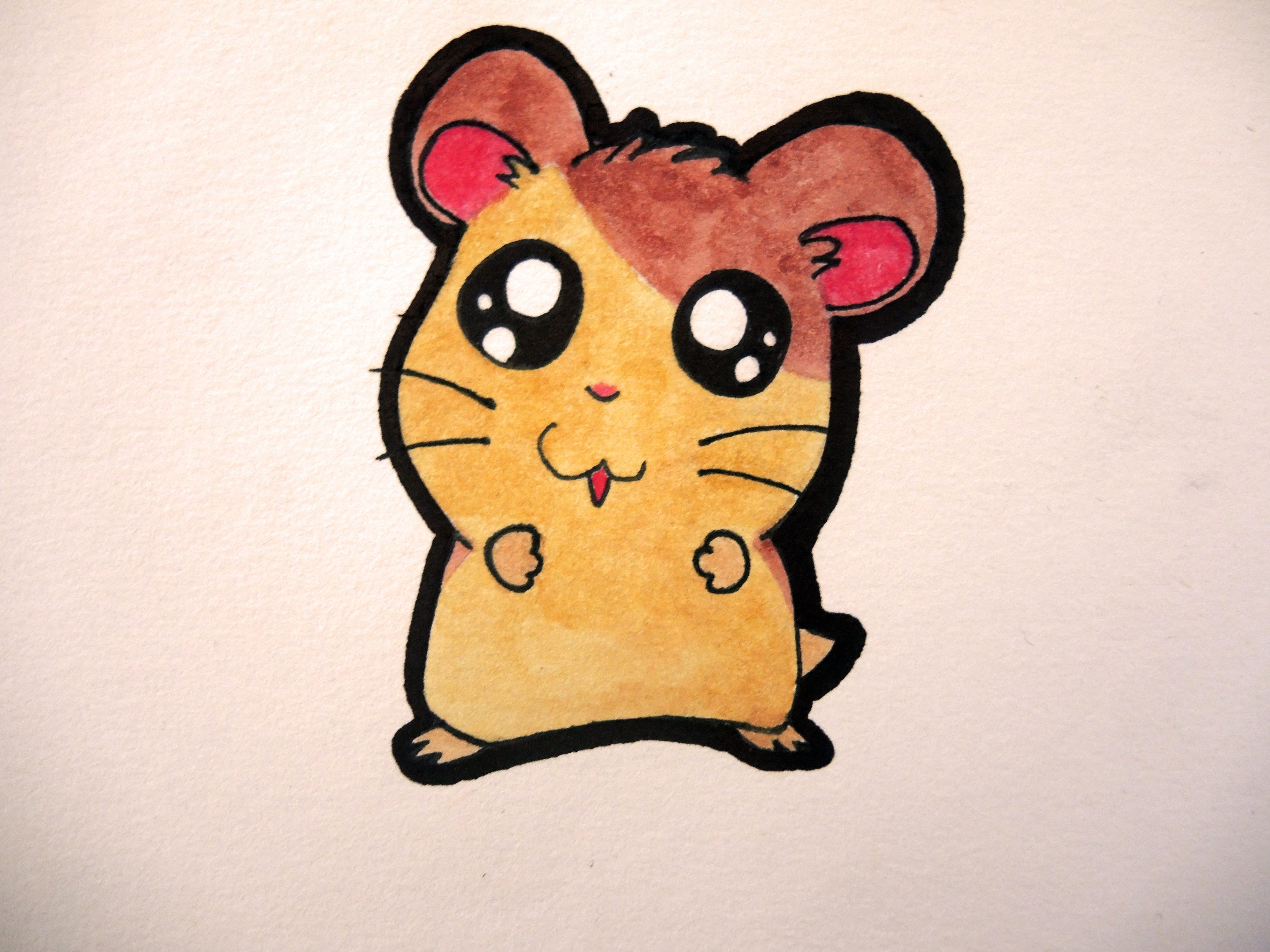 Cute Hamster Drawing at GetDrawings | Free download