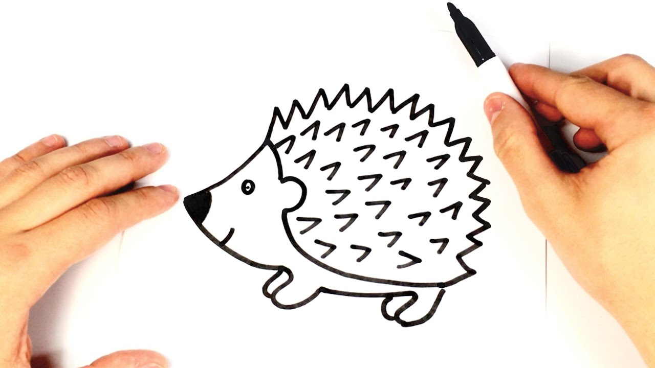 Cute Hedgehog Drawing at GetDrawings | Free download