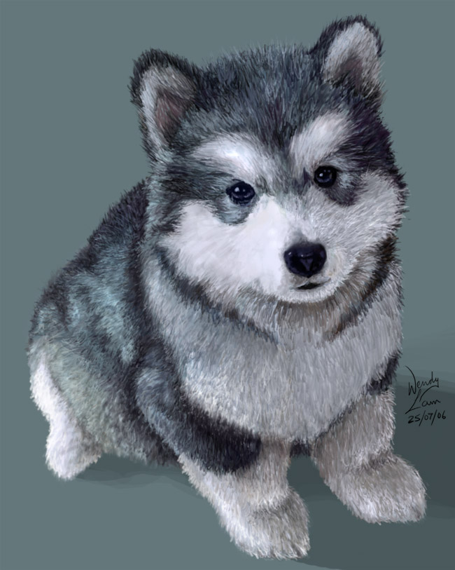 Cute Husky Drawing at GetDrawings Free download