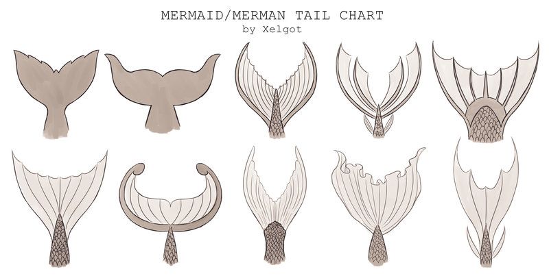 Cute Mermaid Tail Drawing at GetDrawings | Free download