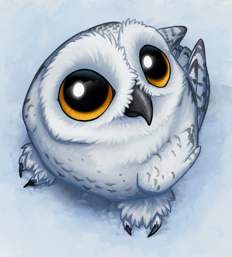 Cute Owl Drawing at GetDrawings Free download