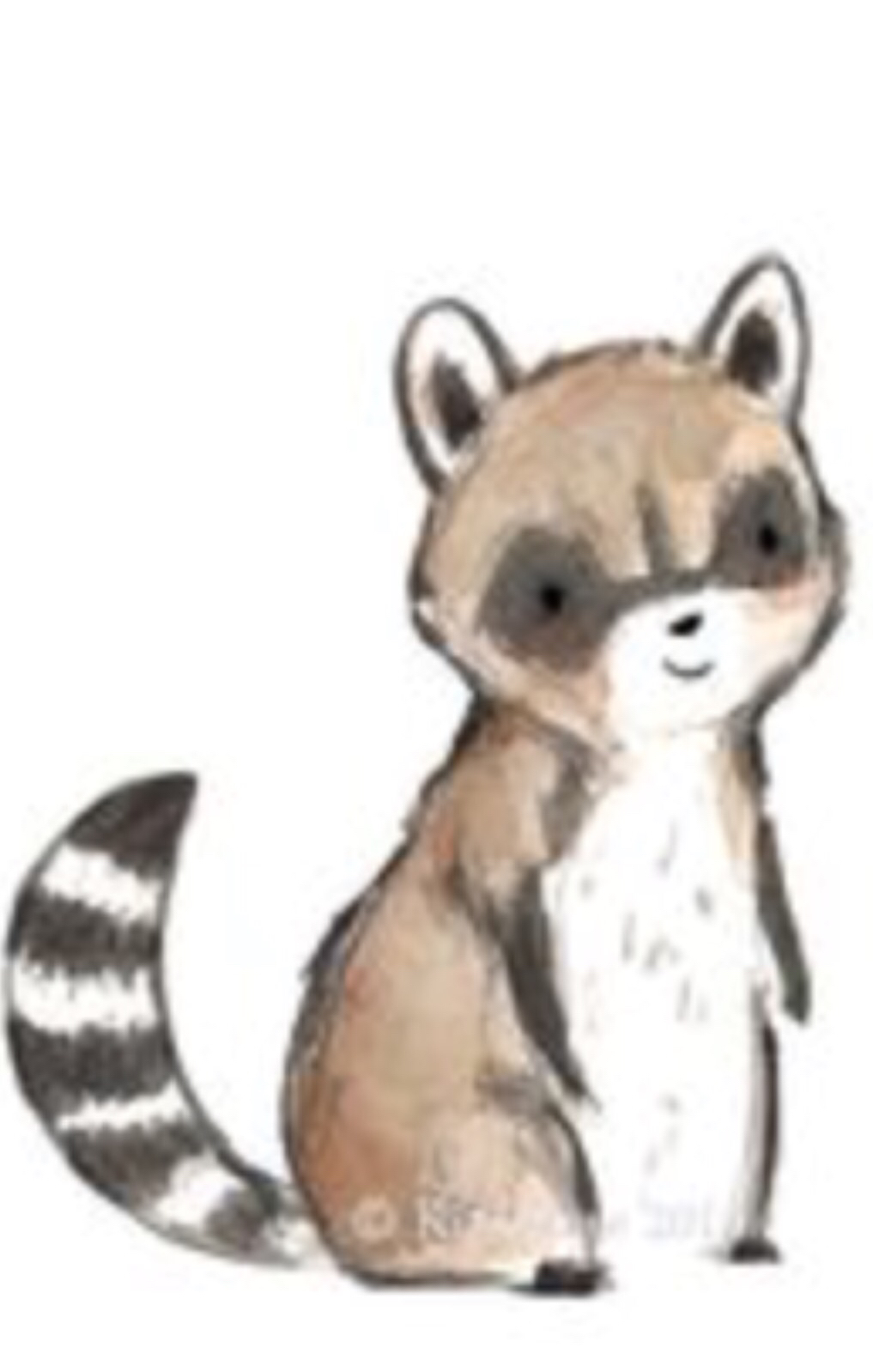 Cute Raccoon Painting Easy
