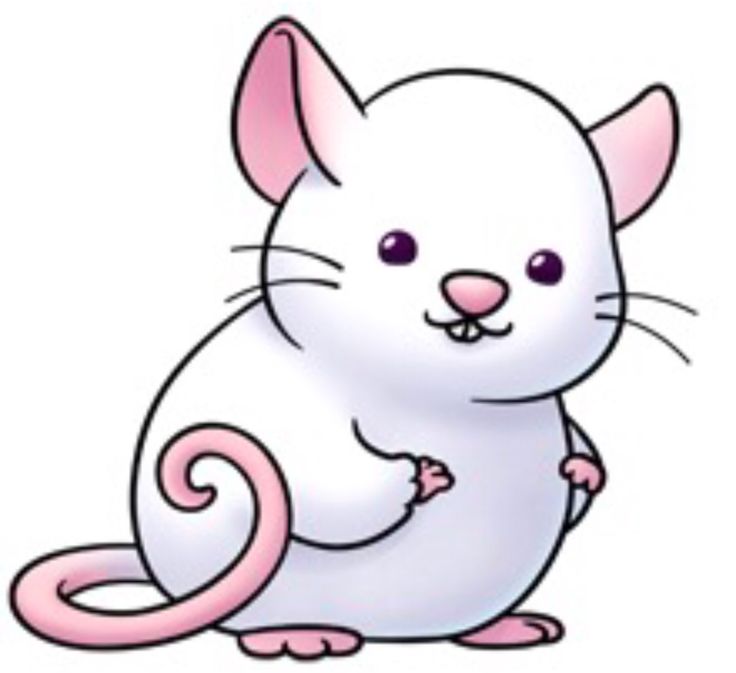 Cute Rat Drawing at GetDrawings Free download