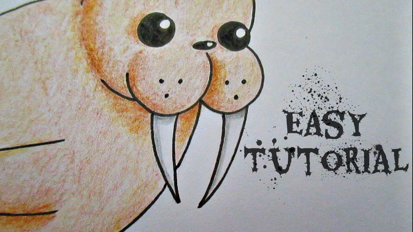 Cute Walrus Drawing at GetDrawings | Free download