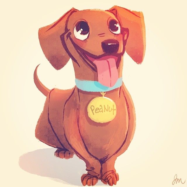 30+ Drawings Of Dachshunds Pics – Special Image
