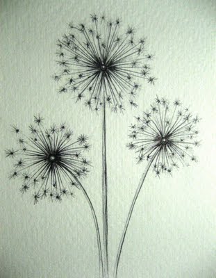 how to draw a dandelion puff step by step