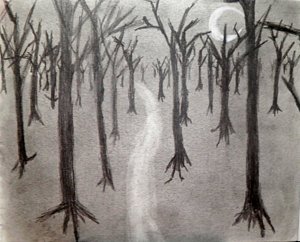 dark woods drawing