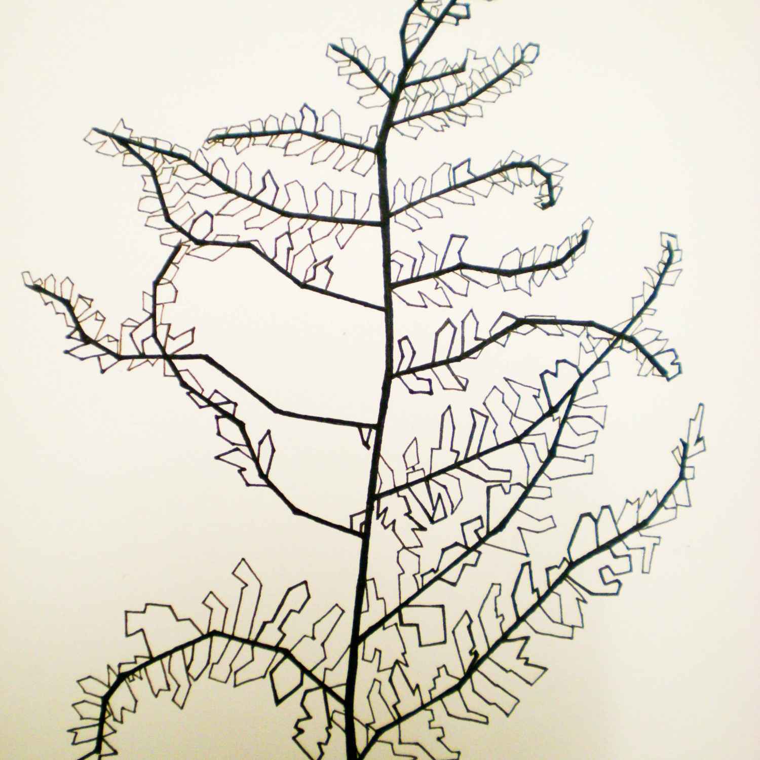 Dead Plant Drawing at GetDrawings Free download