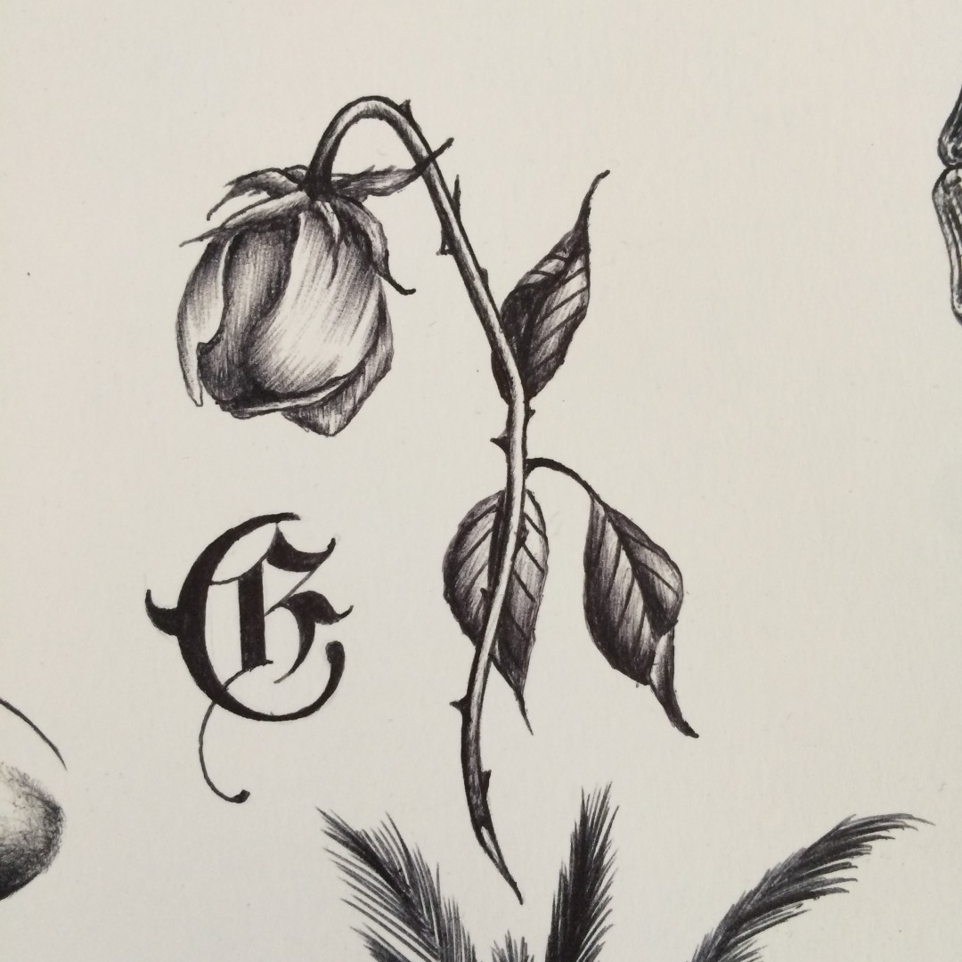 Dead Roses Drawing at GetDrawings | Free download