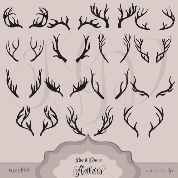 Deer Antler Drawing at GetDrawings | Free download