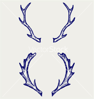 Deer Antler Drawing at GetDrawings | Free download