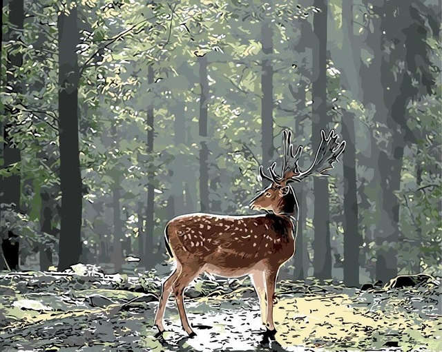 Deer In Forest Drawing at GetDrawings Free download