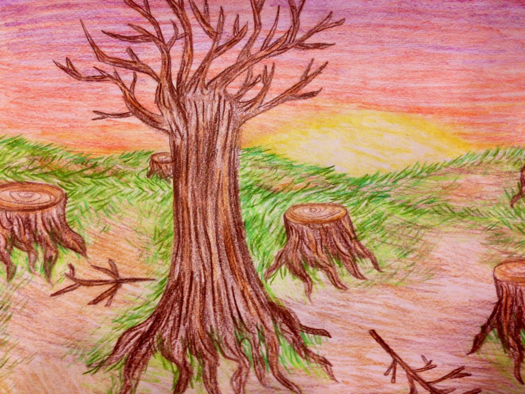 Deforestation Drawing at GetDrawings Free download