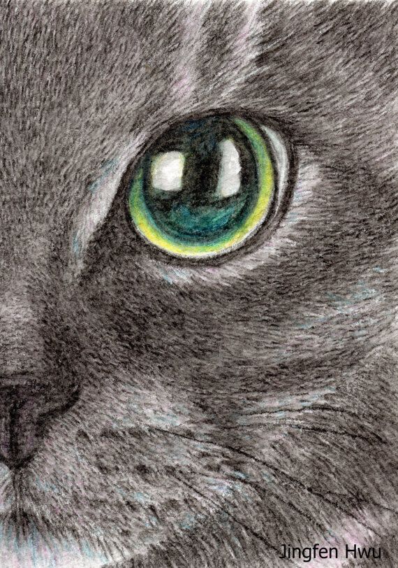 Detailed Cat Drawing at GetDrawings | Free download