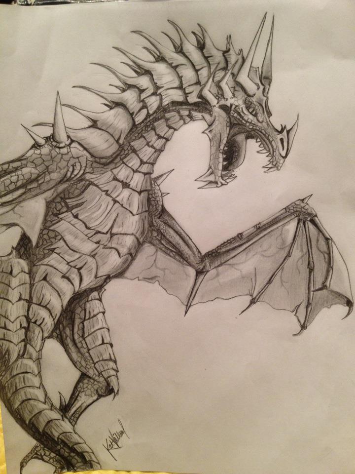 dragon sketch