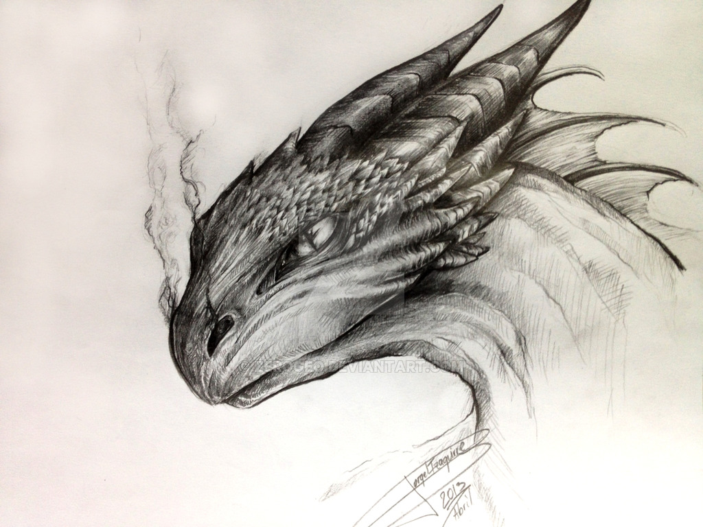 a dragon sketch