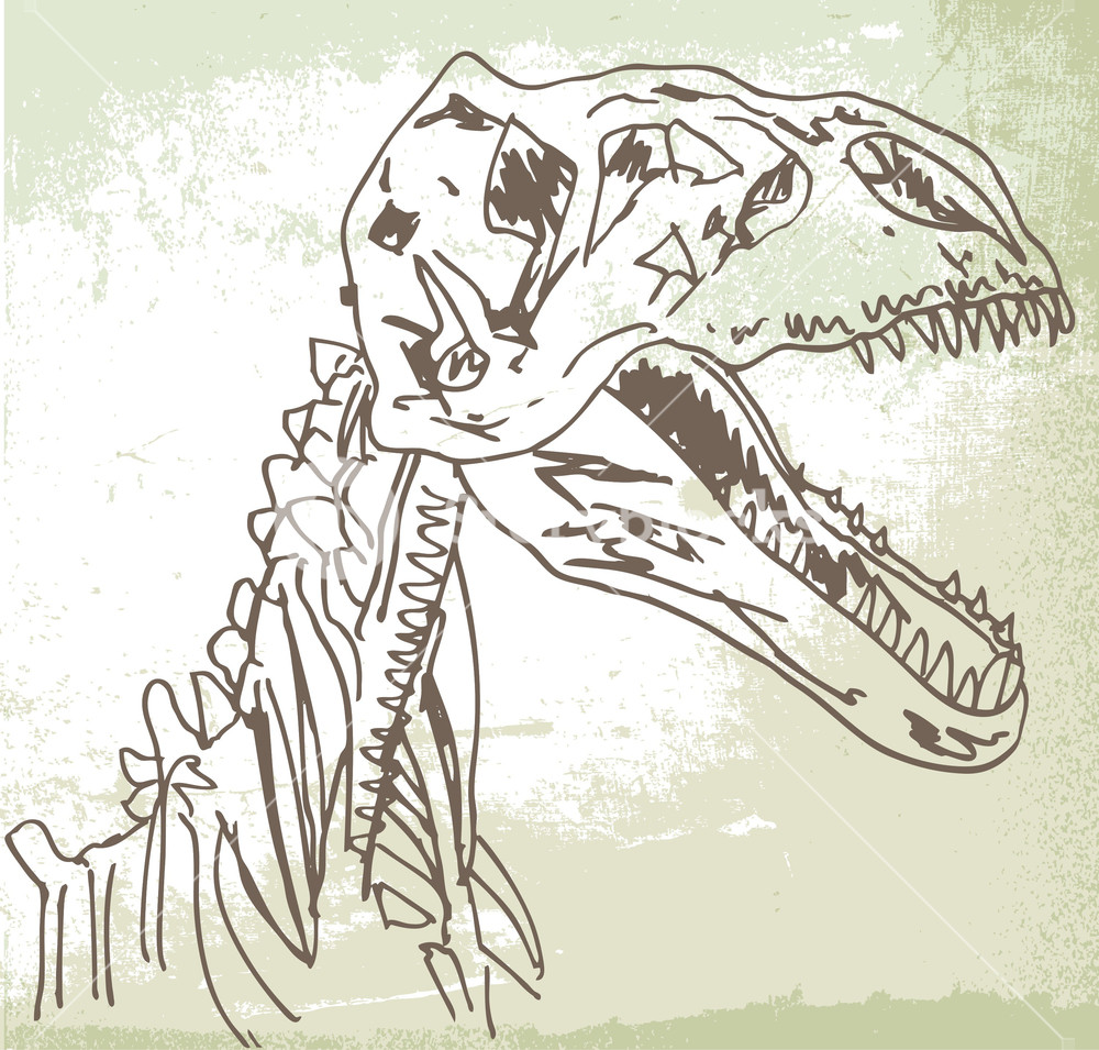 Dinosaur Fossil Drawing at GetDrawings | Free download