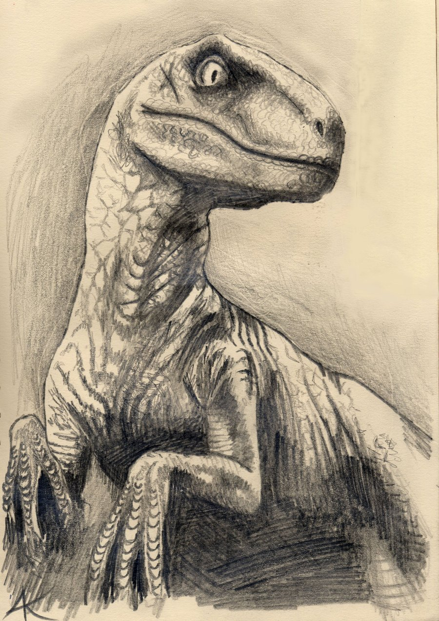 Cartoon Dinosaur Sketch Drawing for Adult