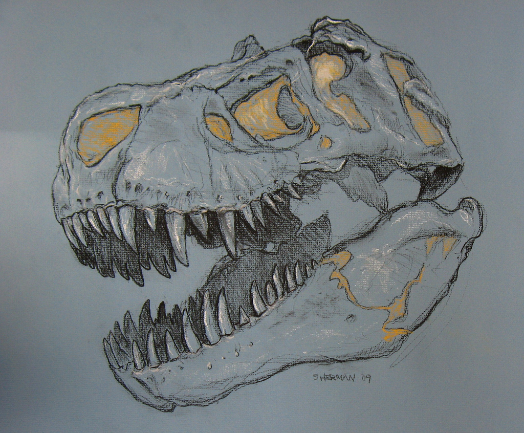 Easy Dinosaur Head Sketch Drawing with Realistic