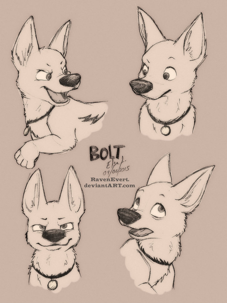 Disney Bolt Drawing at GetDrawings | Free download