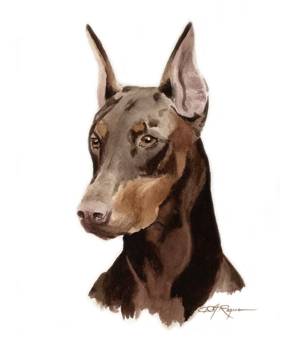 Amazing How To Draw A Doberman Head of the decade Don t miss out 