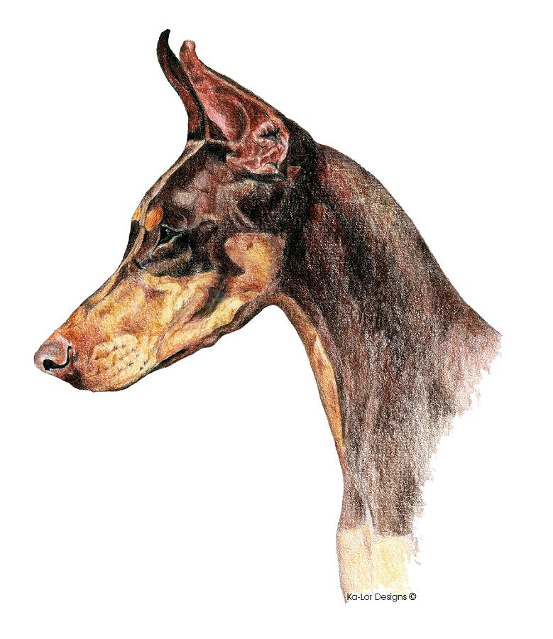 Doberman Pinscher Drawing at GetDrawings | Free download