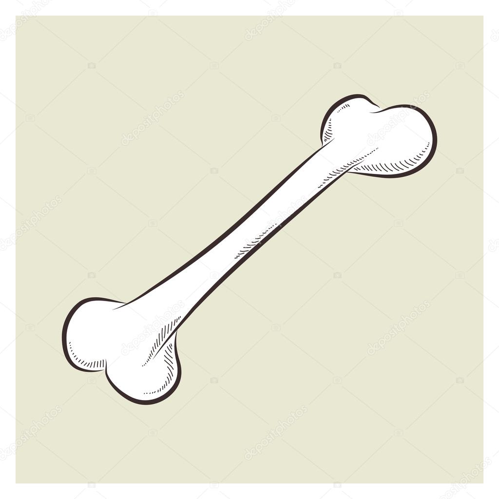 Dog Bone Drawing at GetDrawings | Free download