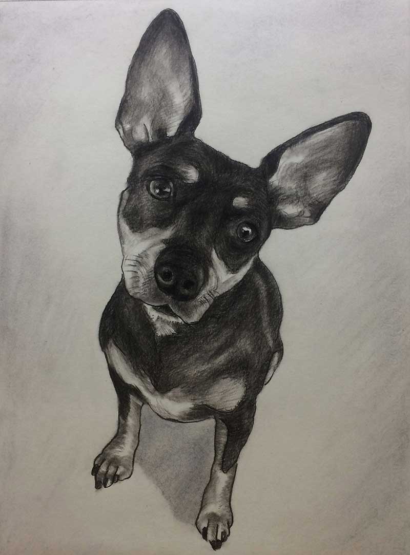 Dog Charcoal Drawing at GetDrawings Free download