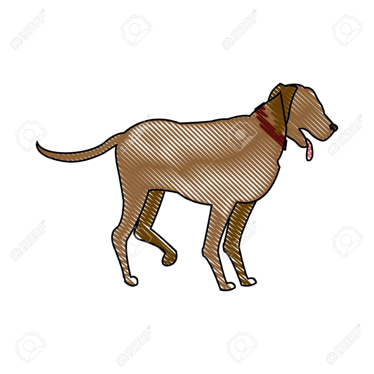 Dog Walking Drawing at GetDrawings Free download