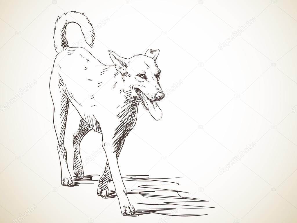 Dog Walking Drawing at GetDrawings Free download