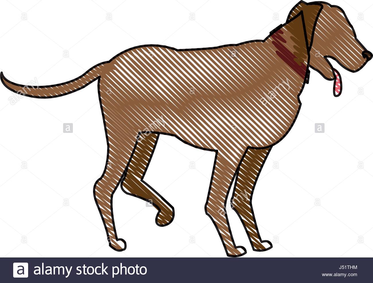 Dog Walking Drawing at GetDrawings Free download