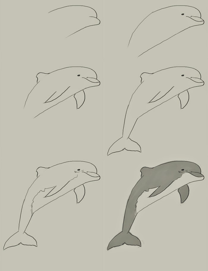 How To Draw A Dolphin Jumping Out Of The Water