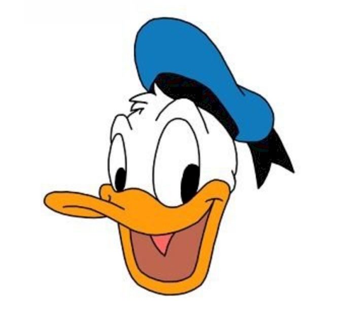 Donald Duck Disney Cartoon Drawing With Colours - pic-leg