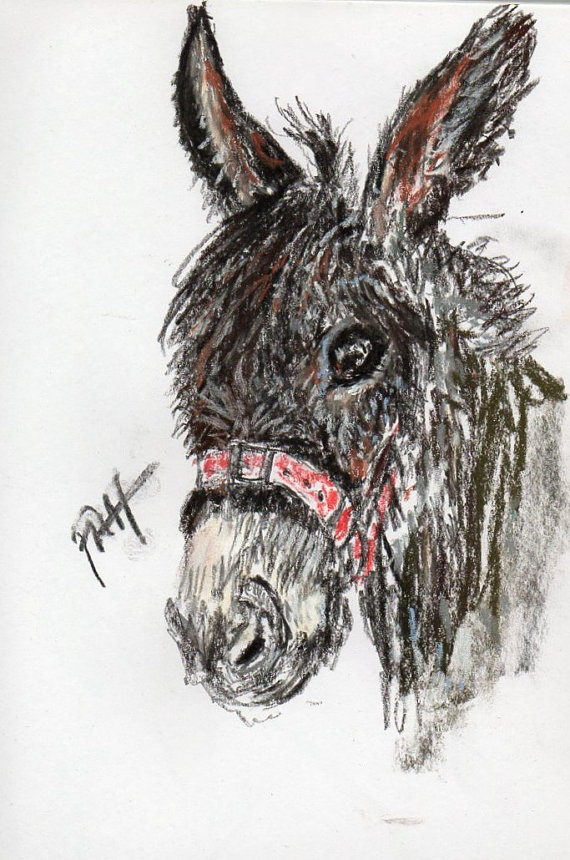 Donkey Head Drawing at GetDrawings Free download