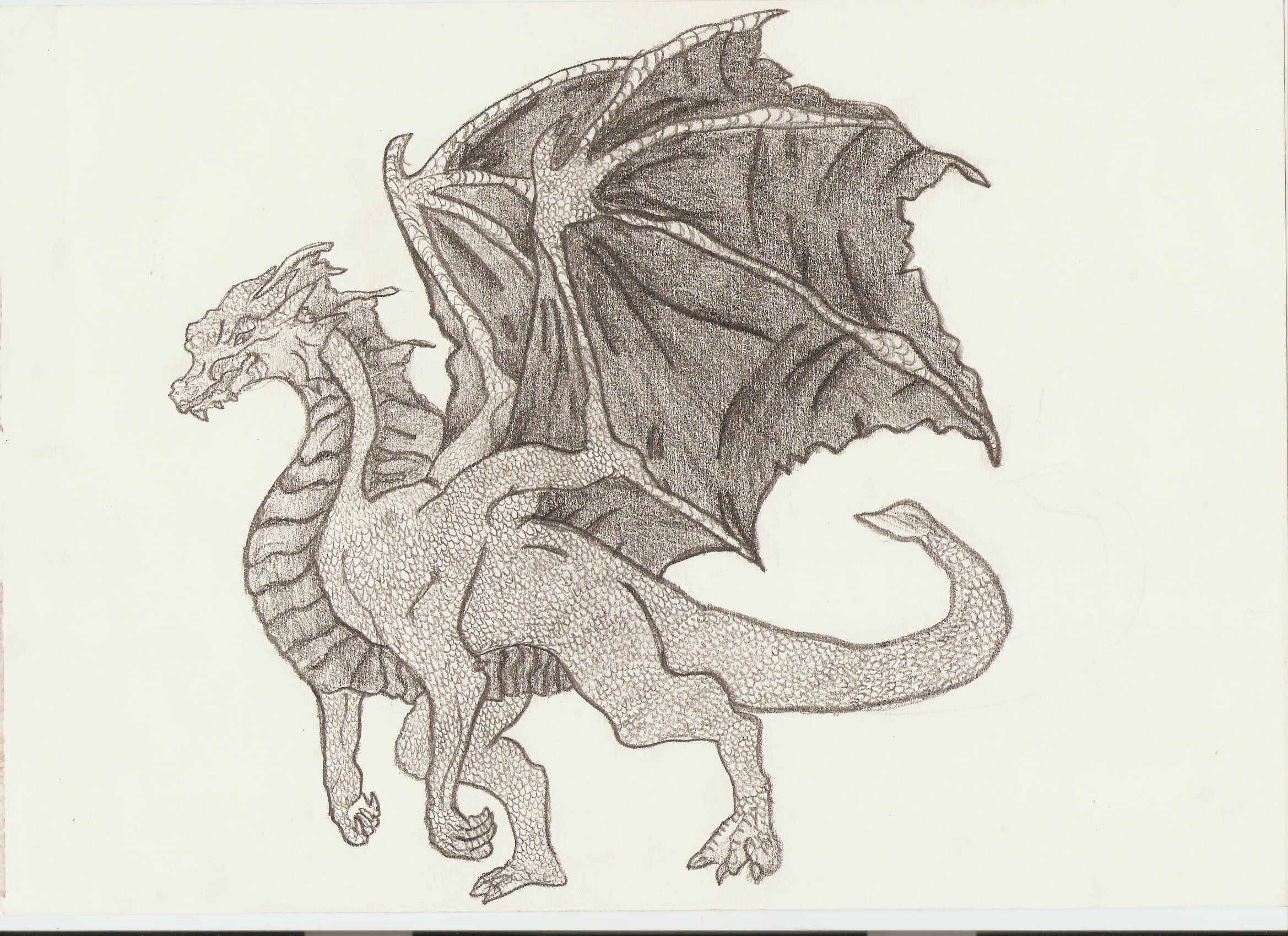 Cool Dragon Drawings Full Body / Full Body Dragon Drawing Easy Step By