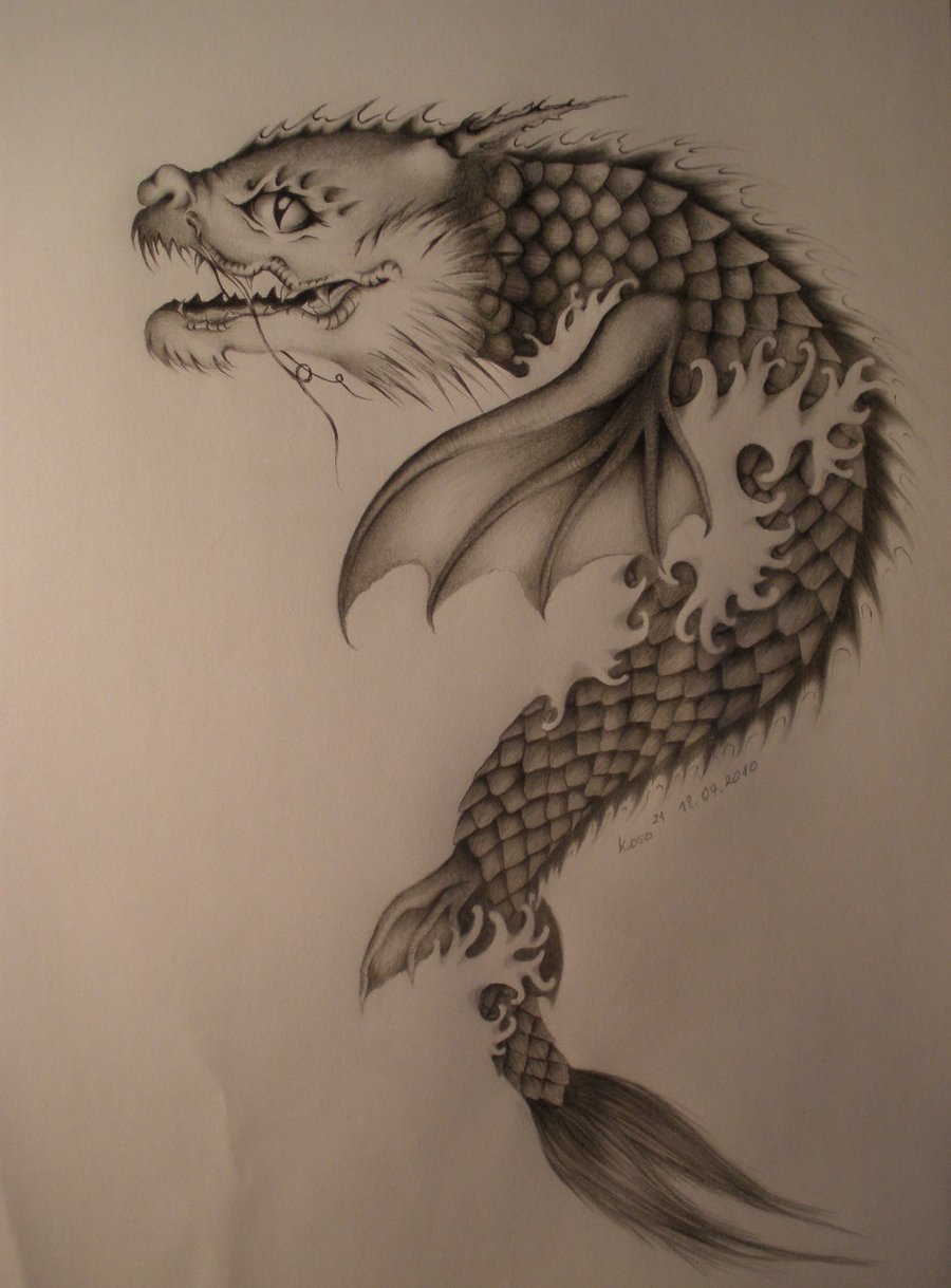 Dragon Fish Drawing at GetDrawings Free download