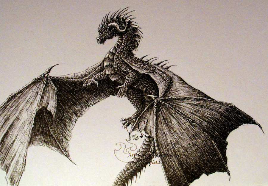 Dragon Ink Drawing at GetDrawings Free download