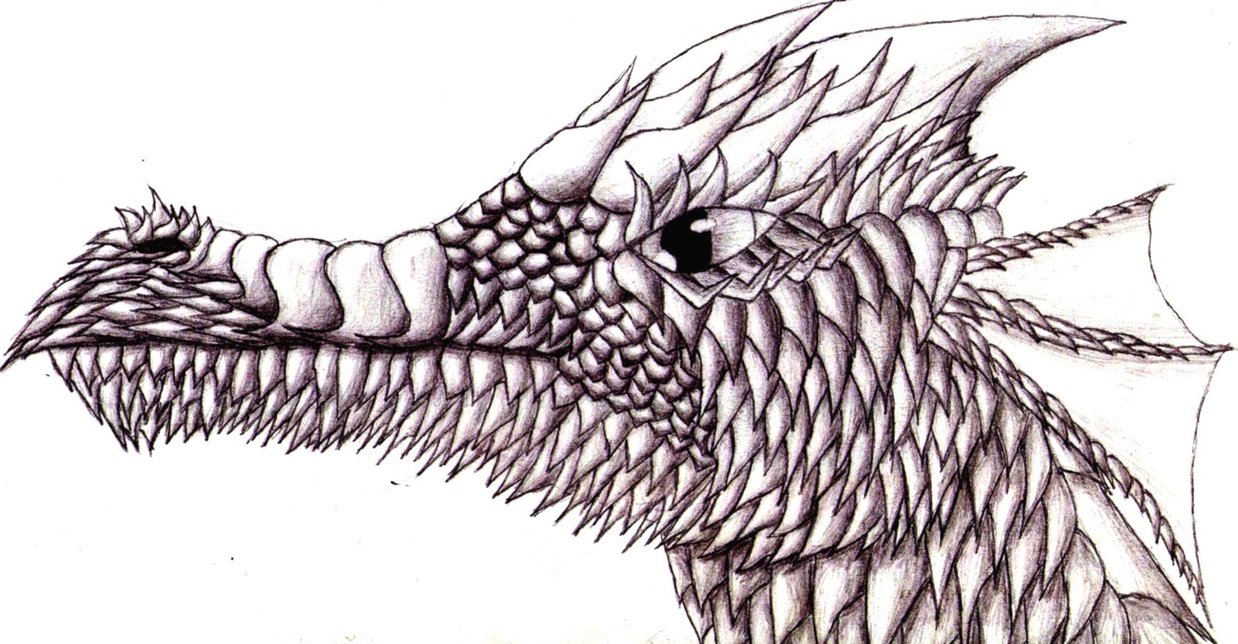 Dragon Scales Drawing at GetDrawings Free download