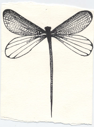 Dragonfly Drawing Images at GetDrawings | Free download