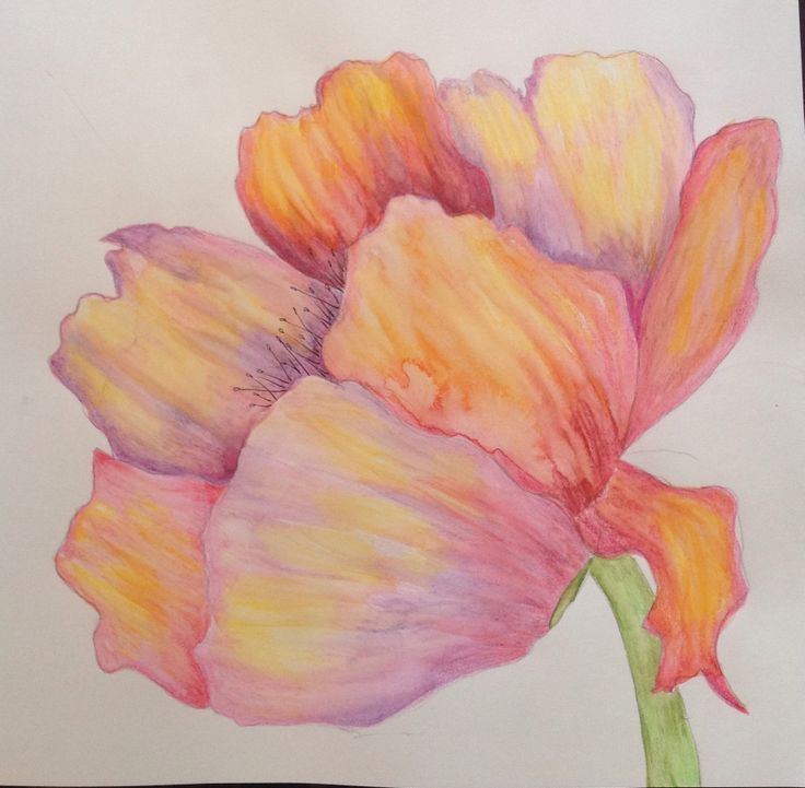 Drawing With Watercolour Pencils at GetDrawings | Free download