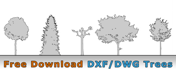 Dxf Drawing at GetDrawings Free download