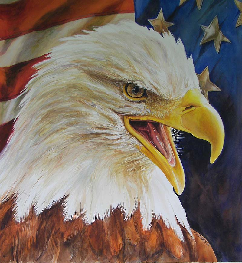 Eagle And Flag Drawing at GetDrawings Free download