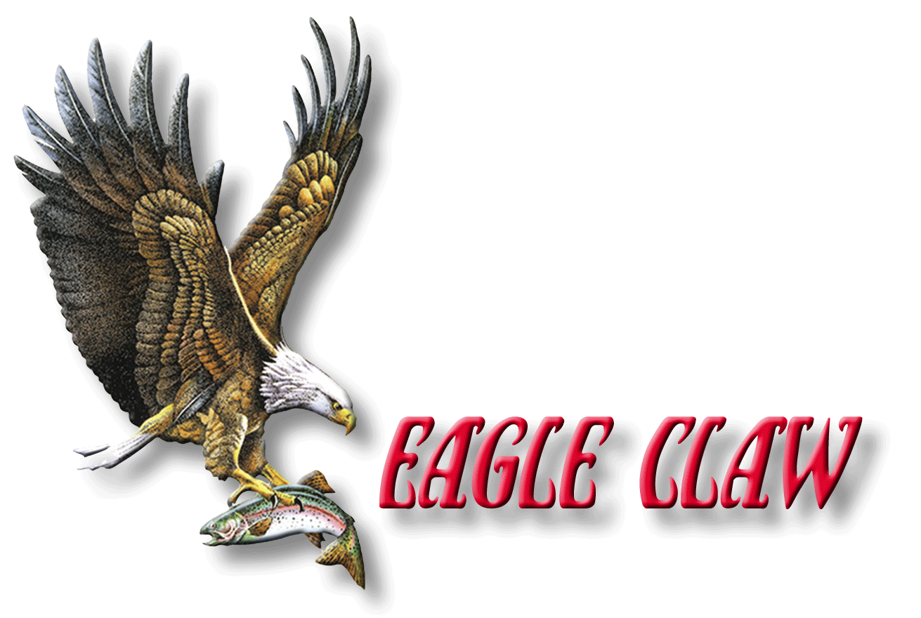 Eagle Claws Drawing at GetDrawings | Free download