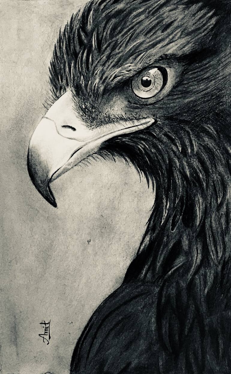 Eagle Eye Drawing at GetDrawings Free download