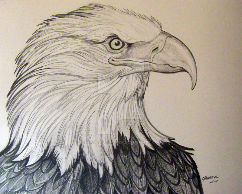Eagle Head Drawing at GetDrawings | Free download